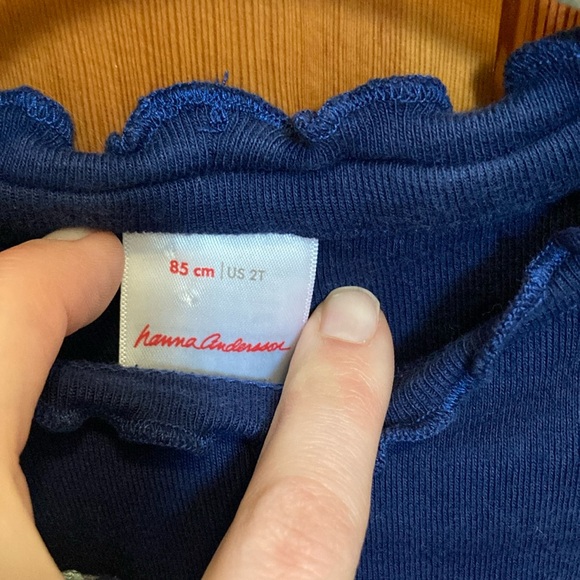 Hanna Andersson Blue Embellished butterfly Ruffled Sheath Dress 2T EUC - Picture 4 of 5